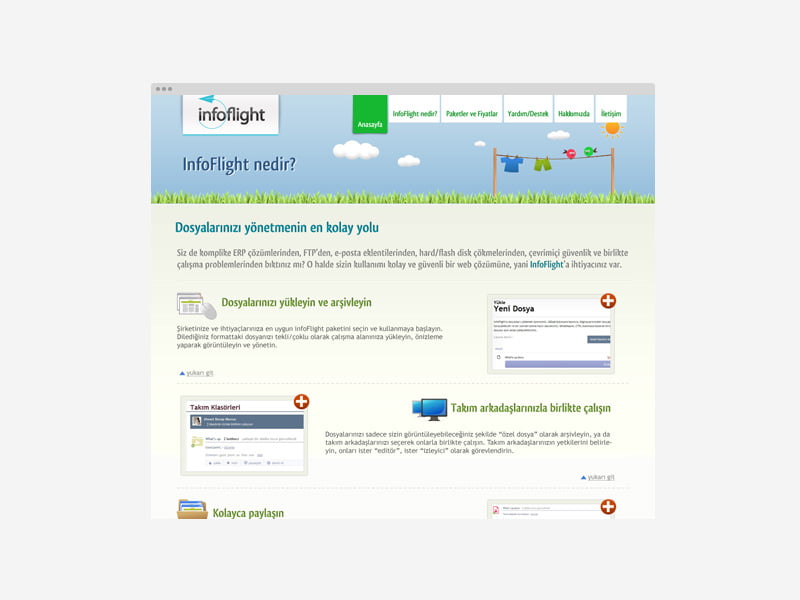 infoflight web site